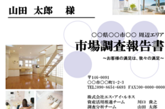 市場調査報告書