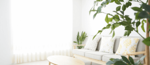 抗菌・除菌 賃貸